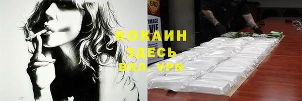 хмурый Дмитриев
