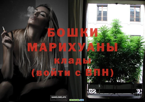 spice Дмитров