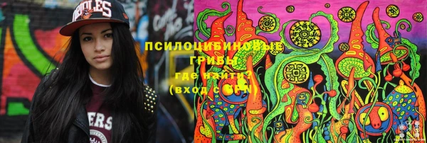 хмурый Дмитриев